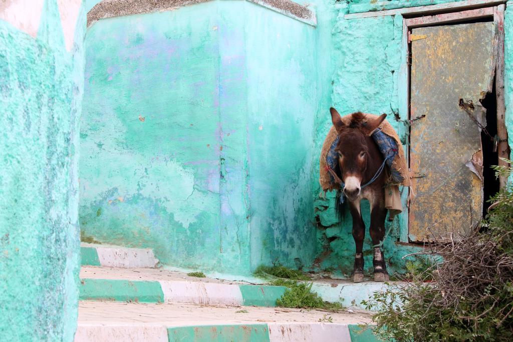 Dar Zerhoune Moulay Idriss Εξωτερικό φωτογραφία