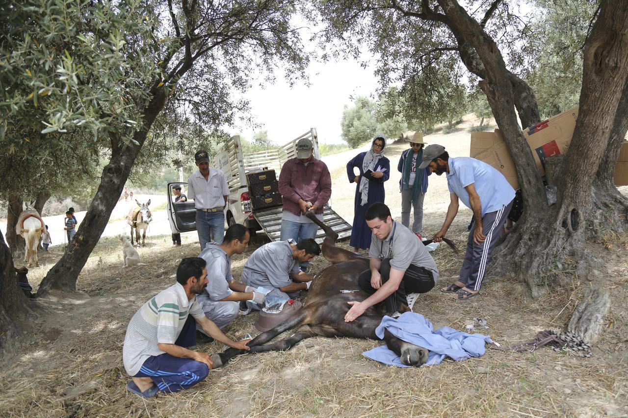 Dar Zerhoune Moulay Idriss Εξωτερικό φωτογραφία