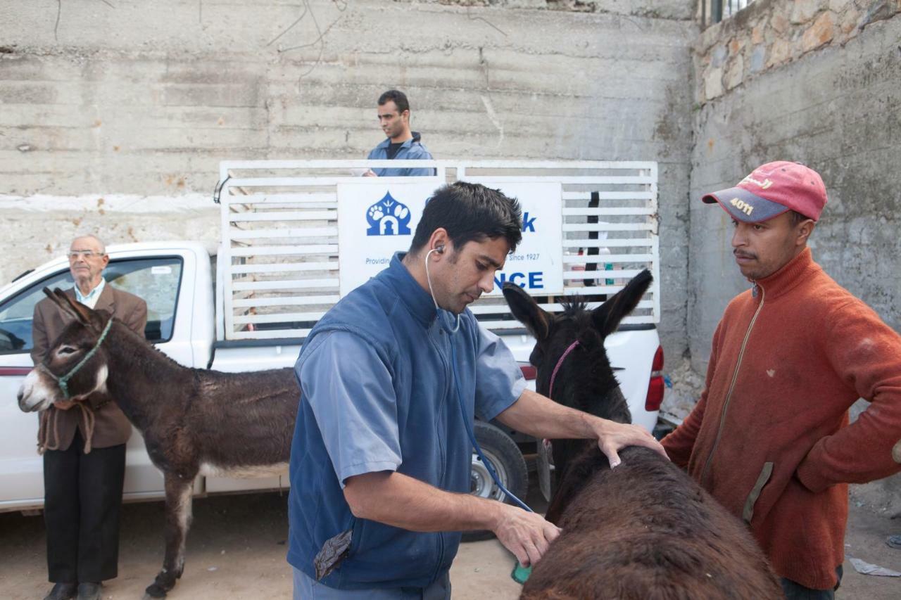 Dar Zerhoune Moulay Idriss Εξωτερικό φωτογραφία